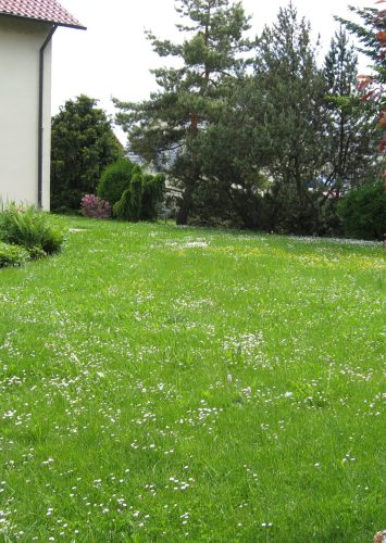 Alwe Haus - Gartenpflege